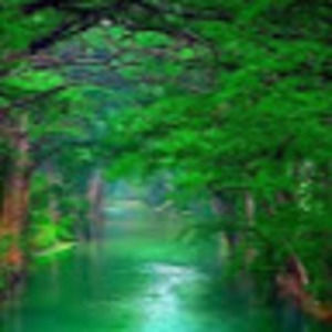 Meet your Posher, Dayle